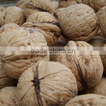 new crop organic walnut inshell/ walnut with shell