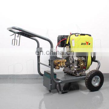 BISON(CHINA) BS-D250 New Design Professional 250Bar Portable Water High Pressure Cleaner For Sale photo-6