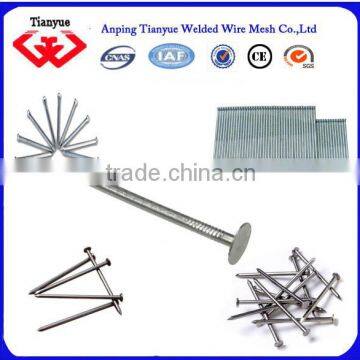 Building Common Nail Making Machine for Kenya photo-6