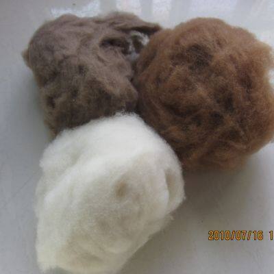 For Carpet  Cashmere And Merino Wool  Merino Lamb