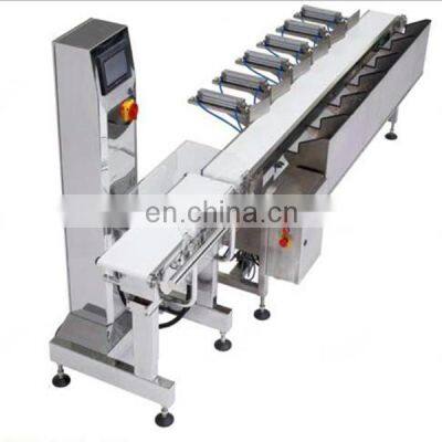 High Precision Weighing Machine Checkweigher