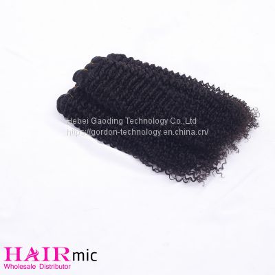 Natraul Color Curly Human Hair Bundle Hair Weft