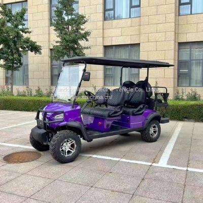 6 seater off-road electric golf cart, country sightseeing car