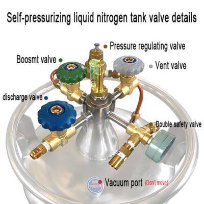 Dominica Filling Liquid Nitrogen Tank KGSQ Liquid Nitrogen Dewar photo-3