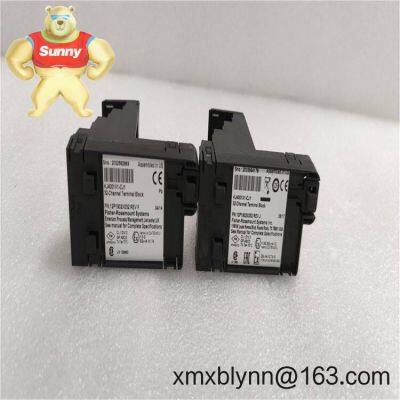 Emerson CE4002S1T2B5 Digital Output Module – Discrete Actuation You Can Trust