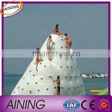 PVC Tarpaulin Fabric For Inflatable Boat / Canvas Tarpaulin