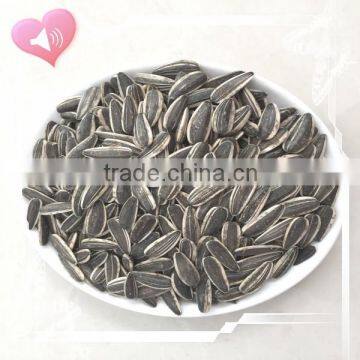 Led Lamp Parts Small Led Street Light Solar Led Streetlight Factory photo-5