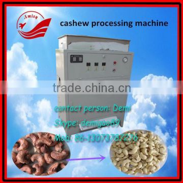 300kg/h automatic cashew peeler/cashew nut processing plant