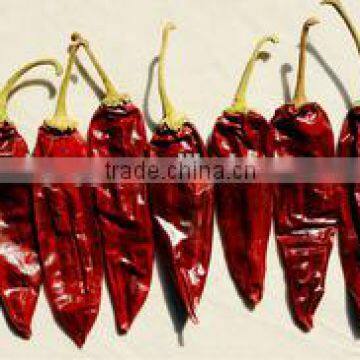 Hot Selling Chilli Pepper