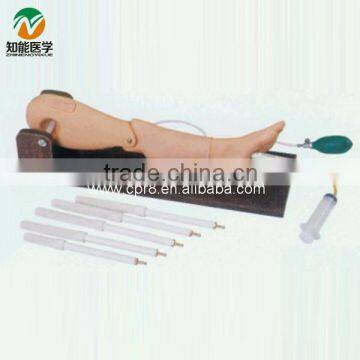 Bone marrow puncture and femoral venipuncture model BIX-L65A