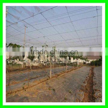 Virgin HDPE Reused Mist Bird Net/fabric Wire Mesh photo-4