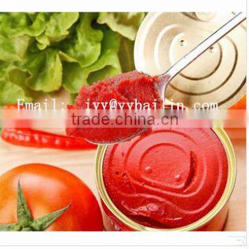 CANNED TOMATO PASTE factory 28%min canned tomatoes