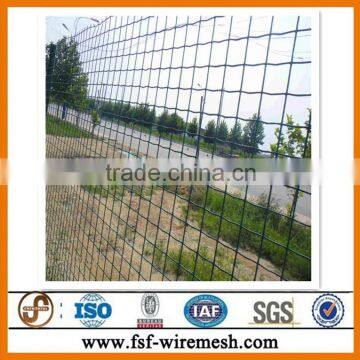 50x100mm 1.5mm Fence Electric Welded Wire Mesh Hot Sale Have Stock Price List photo-3