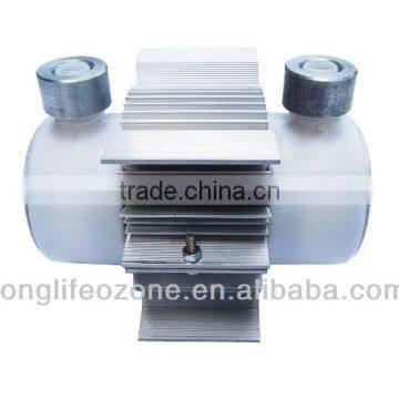 10grams/H Porcelain enamel Generator Ozone