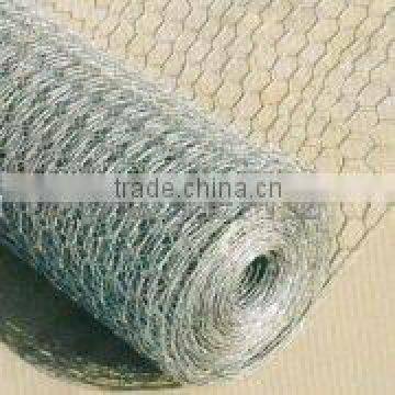 chick mesh(factory)