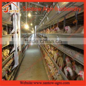 China Professional Manufacturer industrial chicken house