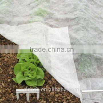 Anti-UV Spunbonded PP Nonwoven Fabric for Vegetable Cover, Landscape