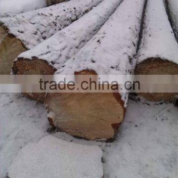 Russian birch logs