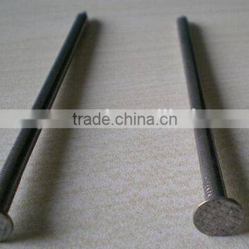 china wire nails price