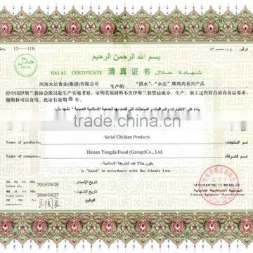 Boneless Skinless HALAL Frozen Chicken Breast photo-6
