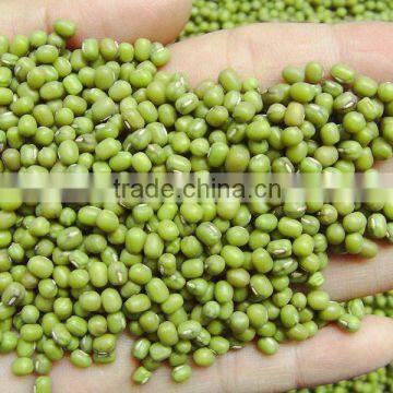 Mung Beans, Green