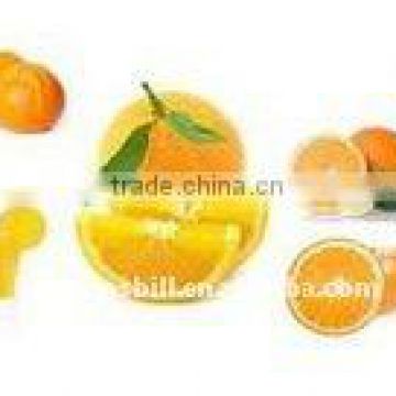 Frozen Orange juice concentrate