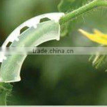 Tomato Truss Arch Halve Moon