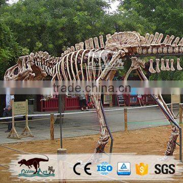 OA-DS-K16062401 High Quality Dinosaur Skeleton Model photo-4