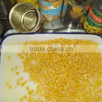 Top Quality Canned Sweet Corn photo-2