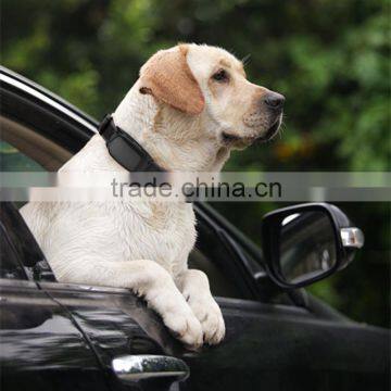 Top Quality Small Gps Cat Tracker/pet Smart Gps Tracker
