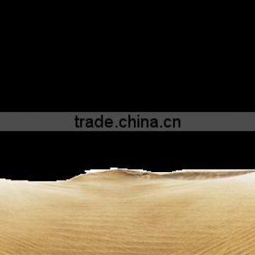 Desert Technology - Solar Modules Made for Extremes