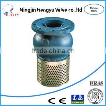 Stainless Steel Foot Valve SS304/SS316 Foot Valve ANSI Flange Foot Valve With Strainer photo-4