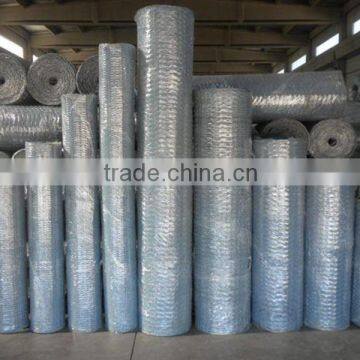 Anping galvanized hexagonal wire mesh/ chicken wire / PVC coated chicken fence