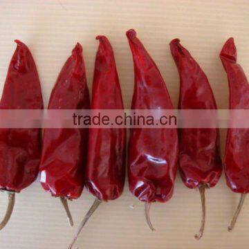 China Dried Chilli