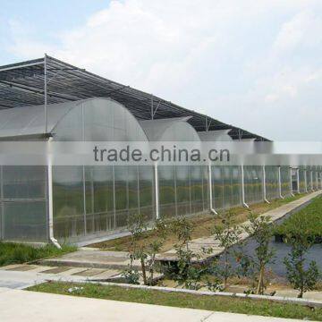 Plastic Film Multi Span Agriculture Greenhouse photo-5
