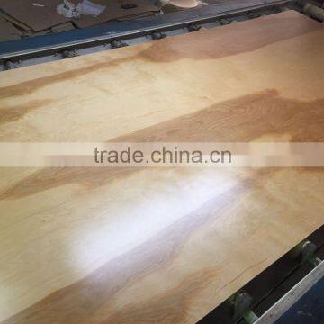 UV Coating Plywood