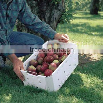 Factory Price Customized Strong Reusable Collapsible Corrugated Box For Apples photo-1