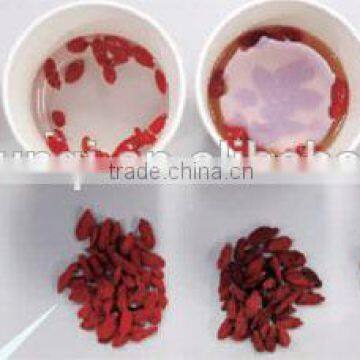 NingXia A Grade dried fruit goji berry