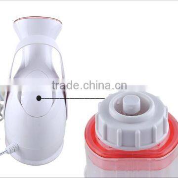 Beauty Salon Steamer