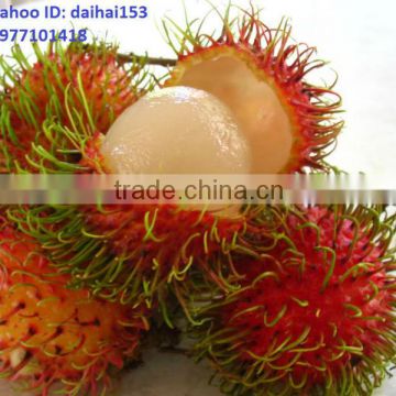 FRESH RAMBUTAN