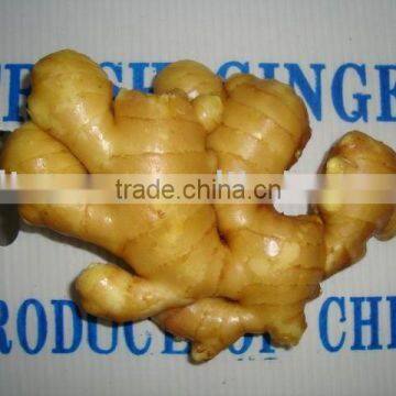 10 kg /carton &PURE block fresh fat ginger