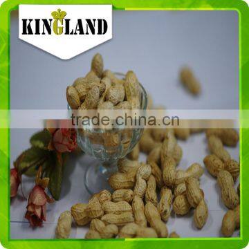 Crop Top Peanut in Shell photo-6