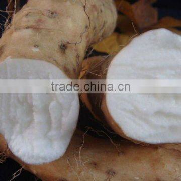 2014 100% Chinese Yam Extract Powder with best price