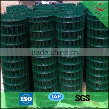 PVC coated Welded Wire Mesh/ Stainless Steel Welded Wire Mesh