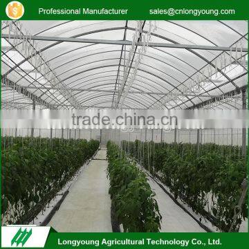 New style vegetable agricultural uv treated plastic film greenhouse