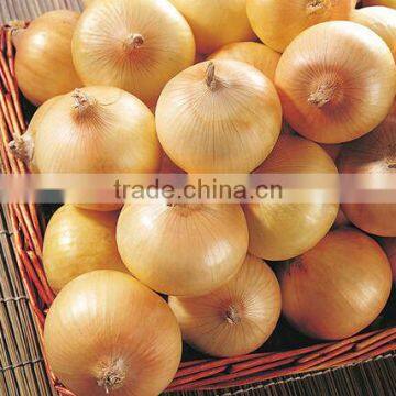 Onion Peeler Peeling Mahcine Skin Remover Striper Processing Machine photo-4