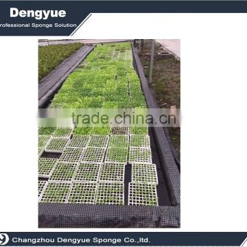 Agricultural Polyurethane High Densuty Seeds Grow Sponge Germination Foam