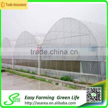 Economical Plastic Green House for Agriculture photo-5