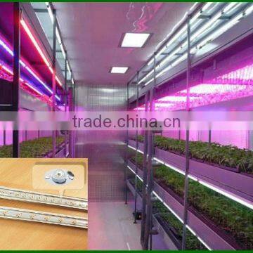 Hot Seller 20w Cheap Indoor Led Grow Lights That Work photo-5