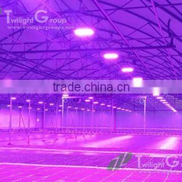 Promote Plants Growth Dimmable 300W Led Grow Light for Sale photo-2